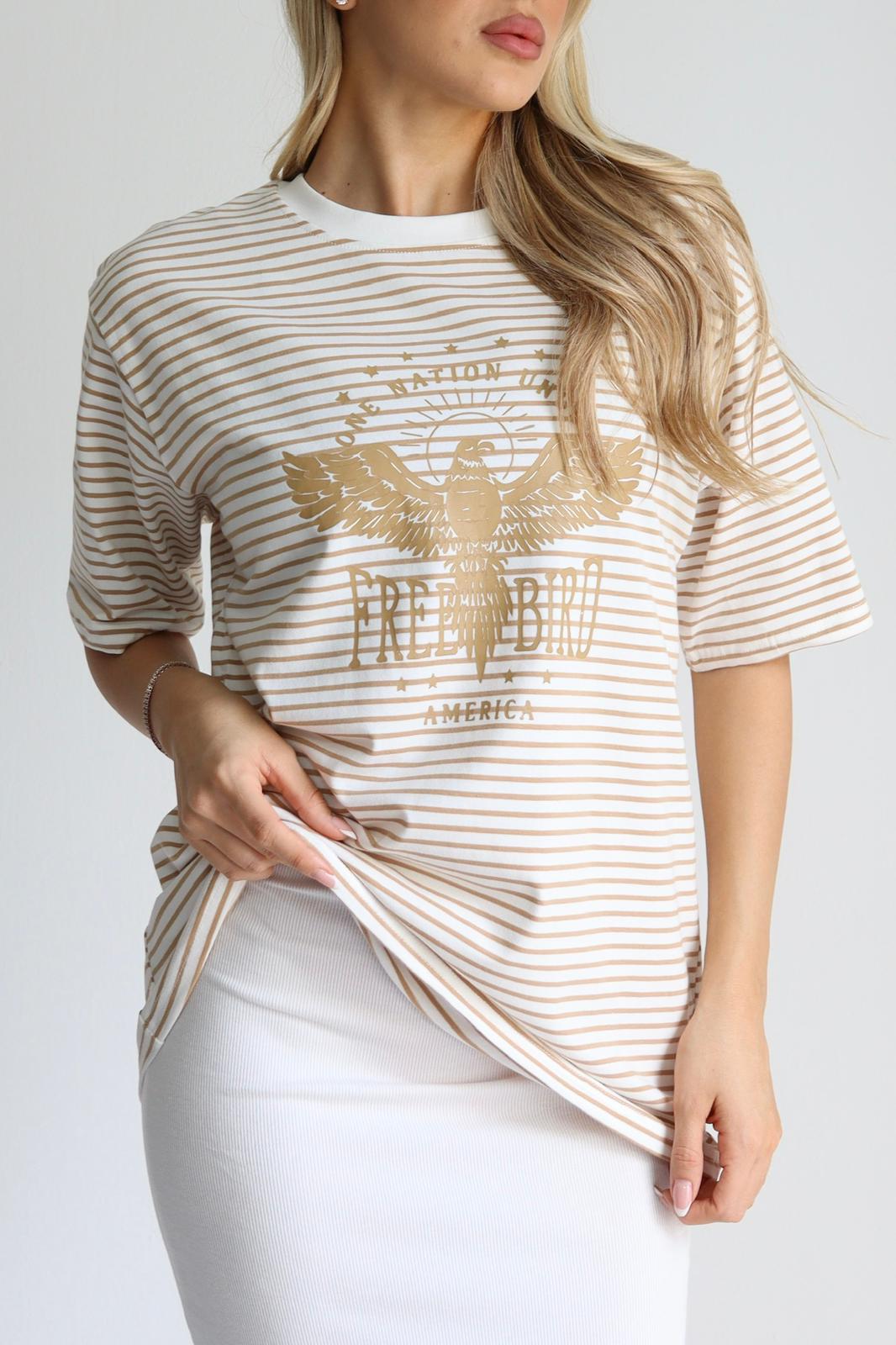 WhatsApp Image 2026-02-16 at 22.41.48 (4)