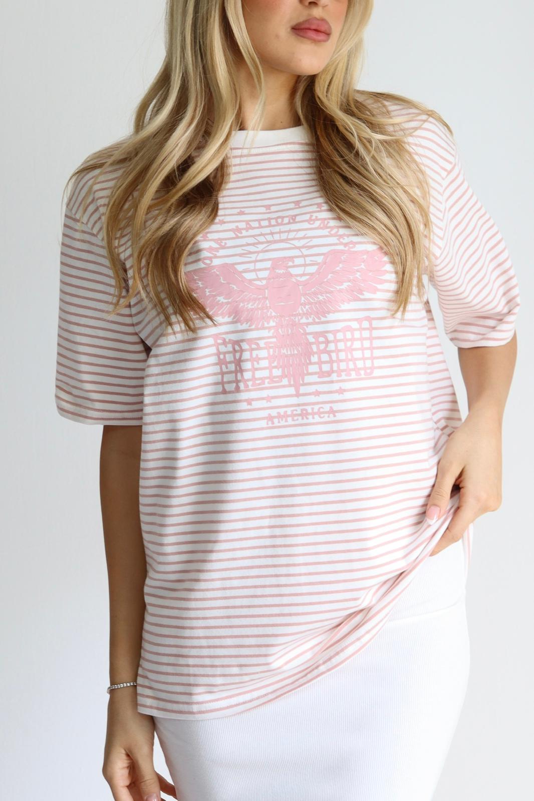 WhatsApp Image 2026-02-16 at 22.41.48